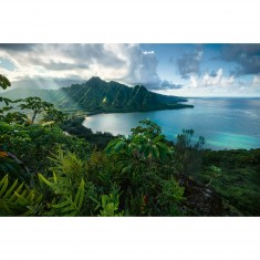 5000 pieces puzzle: View of Hawaii