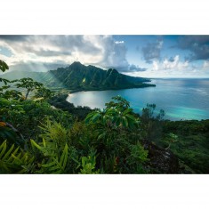 Puzzle 5000 pièces : Vue sur Hawaï