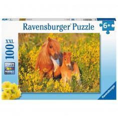 Puzzle 100 XXL pieces: Shetland ponies