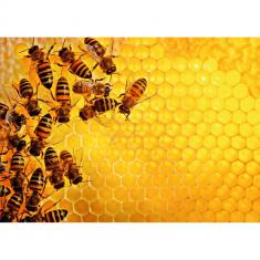 1000-teiliges Puzzle – Puzzle-Herausforderung: Der Bienenstock