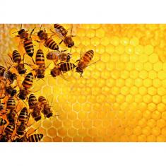 Puzzle 1000 pièces - Challenge Puzzle  : La ruche aux abeilles 