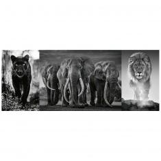 Puzzle 1000 pièces : Triptyque : Panthère, éléphant, lion