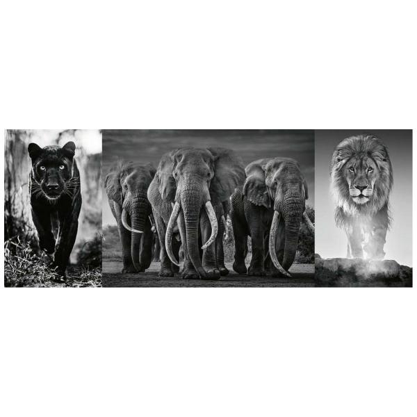 Puzzle 1000 pièces : Triptyque : Panthère, éléphant, lion - Ravensburger-16729