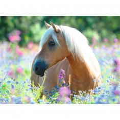 Puzzle 300 pièces XXL : Cheval dans la prairie