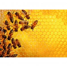 Puzzle 1000 pièces :  La ruche aux abeilles (Challenge Puzzle)