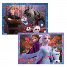 Puzzle 2 x 24 pièces : La Reine des Neiges 2 (Frozen 2) : Vers des contrées glaçées
