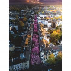 Puzzle 1500 pièces : Bonn En Fleurs