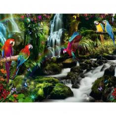 2000 piece puzzle : Parrots paradise