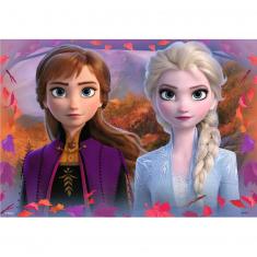 2 x 12 Teile Puzzles: Reise zum Unbekannten (The Snow Queen 2 - Frozen 2)