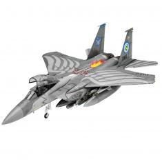 Model aircraft : F-15E Strike Eagle