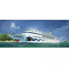 Maquette bateau : AIDA