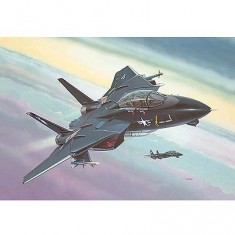 Maqueta de avión: F-14A Black Tomcat