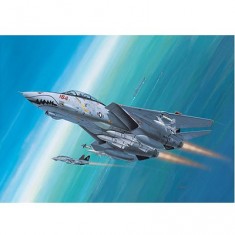 Aircraft model: F 14D Super Tomcat