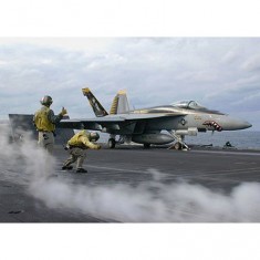 Flugzeugmodell: F / A-18E Super Hornet