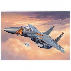 Aircraft model: Model-Set: F-15E Eagle