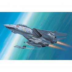 Aircraft model: Model-Set: F-14D Super Tomcat