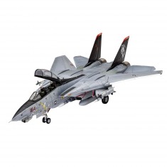 Aircraft model: Grumman F-14D Super Tomcat