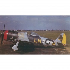 Aircraft model: P-47 M Thunderbolt