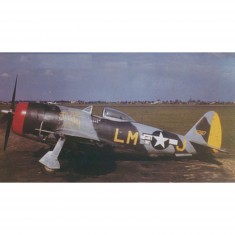 Flugzeugmodell: P-47 M Thunderbolt