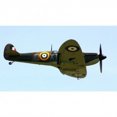 Maquette avion : Spitfire Mk I /IV / IX