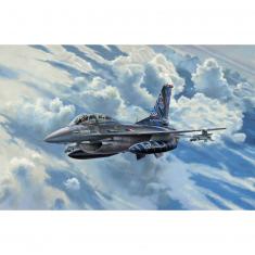 Aircraft model: Lockheed Martin F-16D Tigermeet 2014
