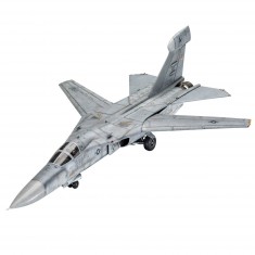 Aircraft Model: Model Set: EF-111A Raven