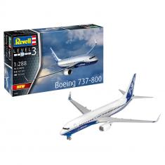 Airplane model: Boeing 737-800