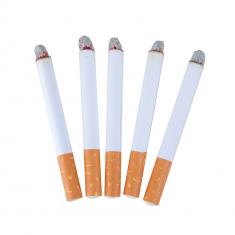 Fausses cigarettes x5 