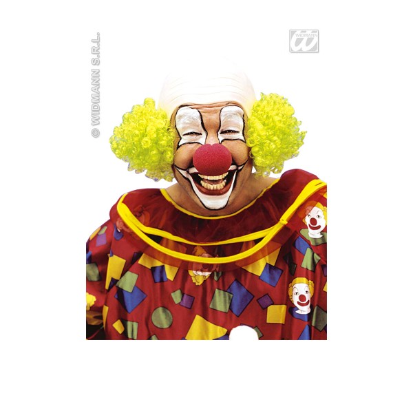 Perruque carnaval : perruque Clown Vert - 8391W-VE