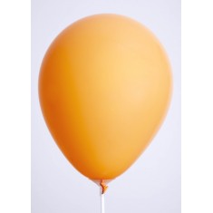 Ballons de baudruche Orange x25