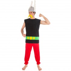 Déguisement Astérix