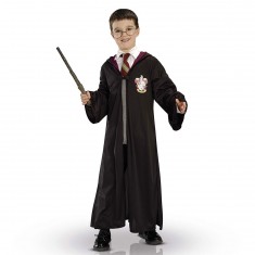 Kit  Blister Officiel Harry Potter™ Film 2010
