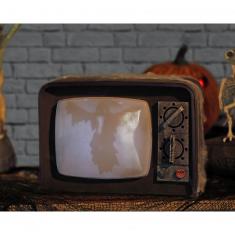 Décoration Halloween - Télévision Avec Détecteur De Mouvement Son Et Lumière