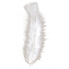 Sachet De 50 Plumes Blanches