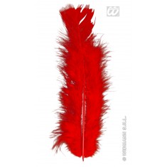 Sachet De 50 Plumes Rouges