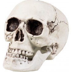 Décoration d'Halloween - Crâne en Plastique
