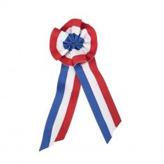 Cocarde tricolore