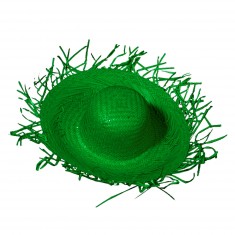 Chapeau De Paille Vert