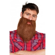 Barbe Hipster - Homme
