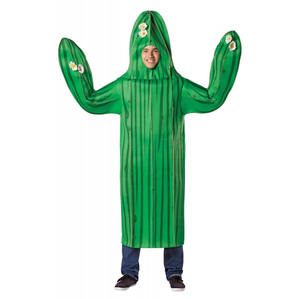 Costume Cactus - 4003043