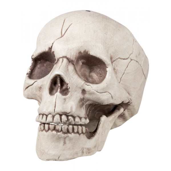 Décoration Crâne Squelette  - 74378
