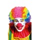 Miniature Perruque carnaval : perruque Clown multicolore