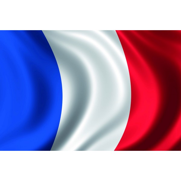 Drapeau Tricolore - Décoration intérieure & extérieure - Rue de la Fête