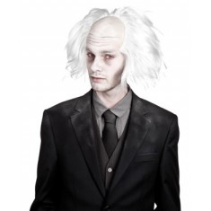 Perruque Professeur fou