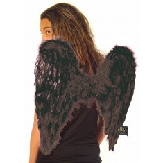 Ailes Dark Angel