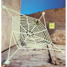 Toile D'araignée phosphorescente à ventouses et 2 araignées