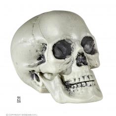 Crâne décoratif - 21 cm