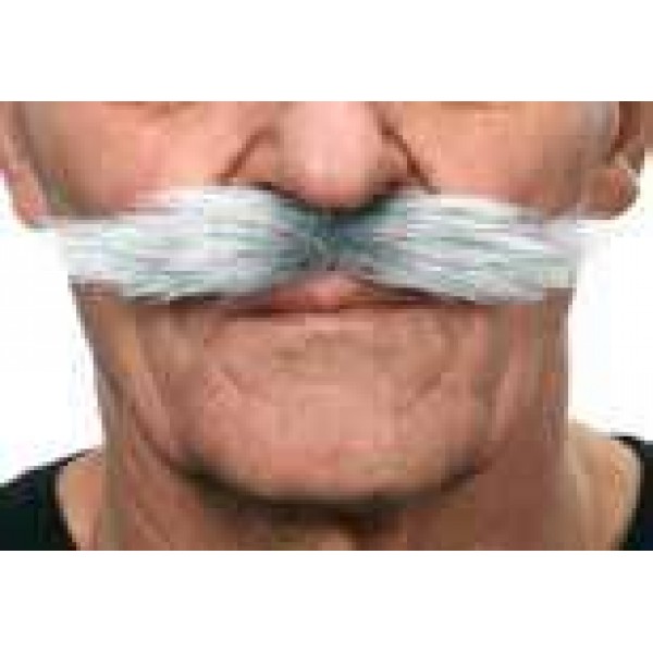 Moustache Grise - 26416MB