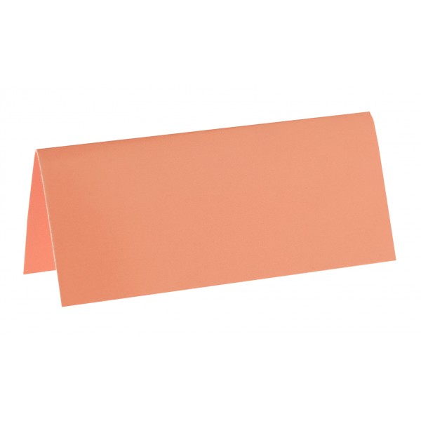 Marque-places Rectangulaires - Corail x 10 - 3013-66