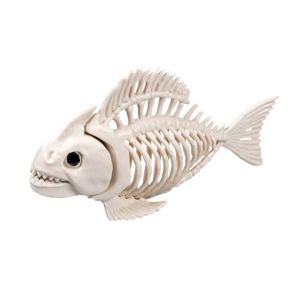 Squelette de Poisson  - RDLF-72400